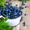 Tifblue Blueberry - USDA Organic -Nature Garden Store TifBlue Blueberry 600x600 da6f0fb4 e0a4 47cf b631 ca80720a9663
