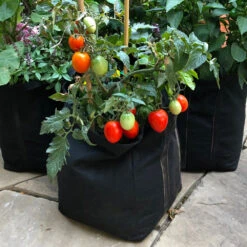 Patio Tomato Garden -Nature Garden Store Tomato Garden kit 1