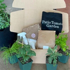 Patio Tomato Garden -Nature Garden Store Tomato Garden kit 2