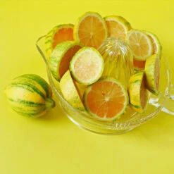 Pink Variegated Eureka Lemon Tree -Nature Garden Store Variegated Pink Eureka 3