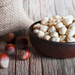 York Filbert Hazelnut 12 York Filbert Hazelnut -Nature Garden Store York Hazelnut 5